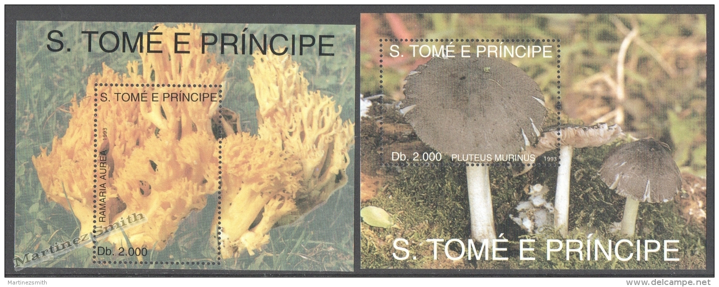 Saint Thomas - Santo Tome E Principe 1993 Yvert BF 138-39, Mushrooms - Miniature Sheets - MNH - Sao Tome And Principe