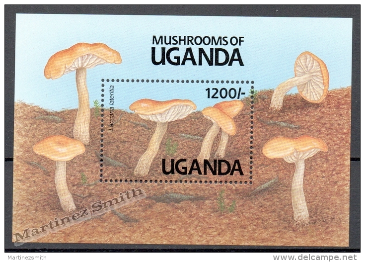 Uganda 1991 Yvert BF 132A, Mushrooms - Miniature Sheet - MNH - Uganda (1962-...)