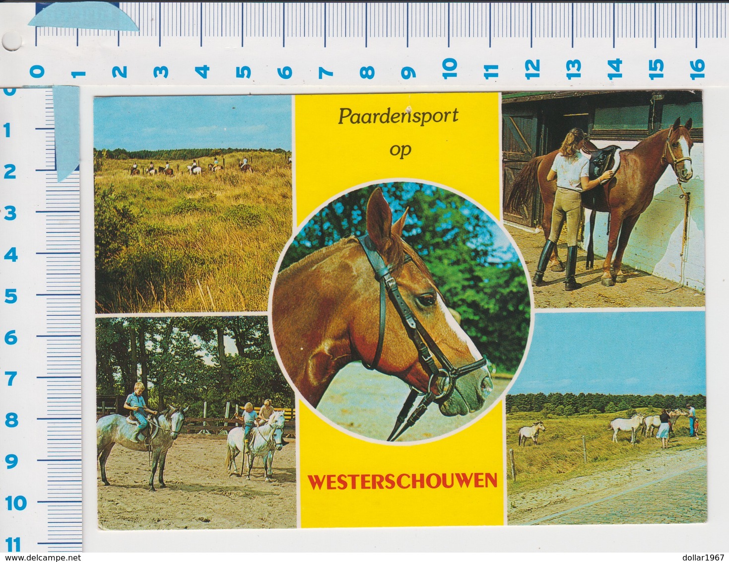 Paardensport Op Westerschouwen 1988,  See The 2  Scans For Condition. ( Originalscan !!! ) - Renesse