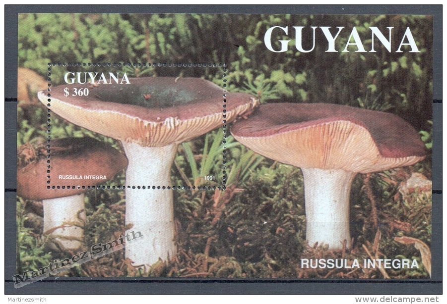 Guyana 1991 Michel BL 142, Mushrooms - Miniature Sheet - MNH - Guyana (1966-...)