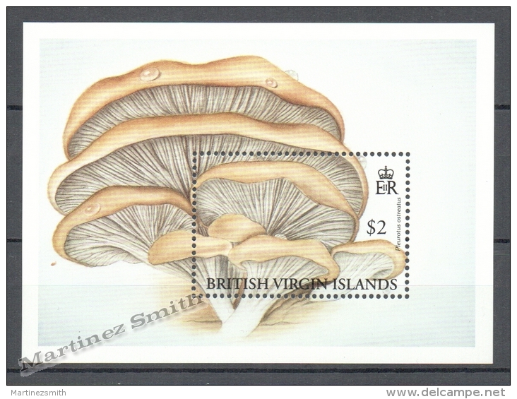 Virgin Islands - Islas Virgenes 1991 Yvert BF 72, Mushrooms - Miniature Sheet - MNH - British Virgin Islands