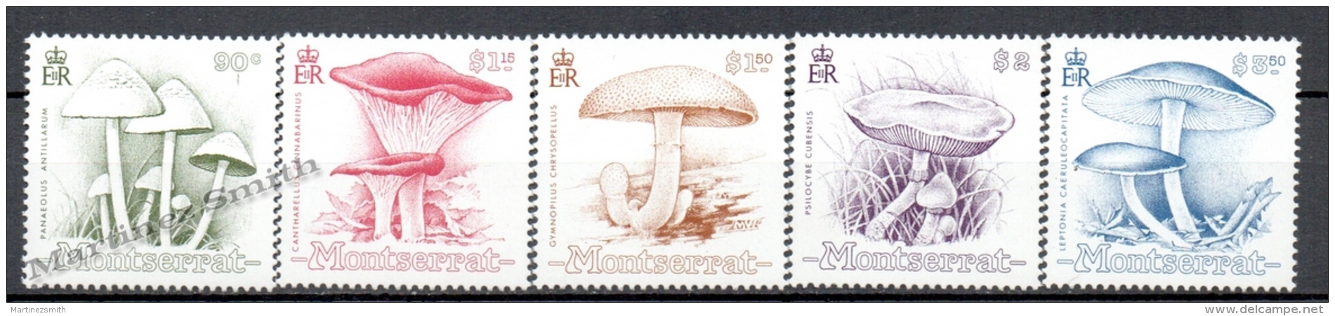 Montserrat 1991 Yvert 759-63, Mushrooms - MNH - Montserrat