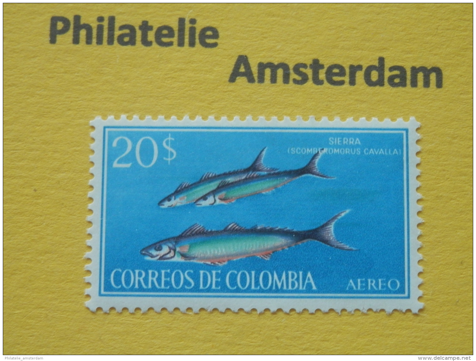 Colombia 1966, FAUNA MARINE LIFE FISH FISCHE VISSEN POISSONS PECES PESCI: Mi 1082, ** - Vissen