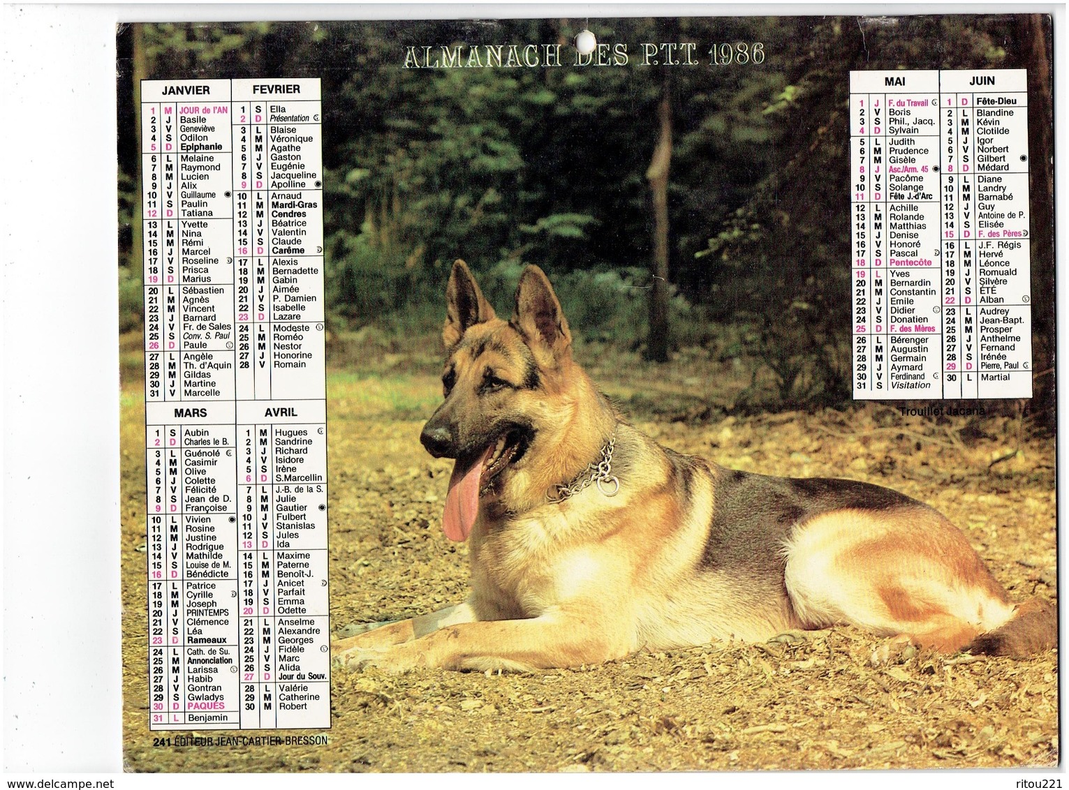 Lot 5 Grand Calendrier P.T.T. Facteur 1986-1992- 1980- 1986- 2001 - Chien Loup Berger Allemand Cheval Chat Shetland - Tamaño Grande : 1981-90