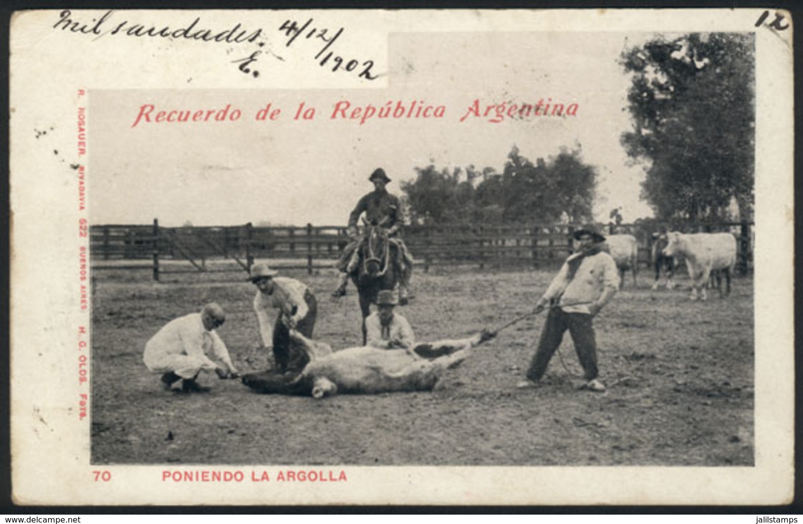 150 ARGENTINA: Gauchos Placing Nose Rings On Cattle, Ed. Rosauer, Dated 1902, Minor Defec - Argentine