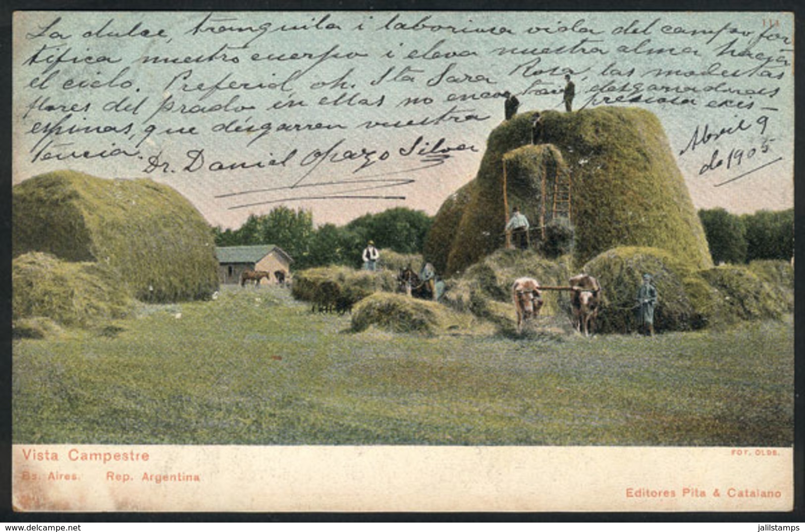 257 ARGENTINA: BUENOS AIRES: Rural Scene, Agriculture, Workers, Ed. Pita & Catalano, Used - Argentine