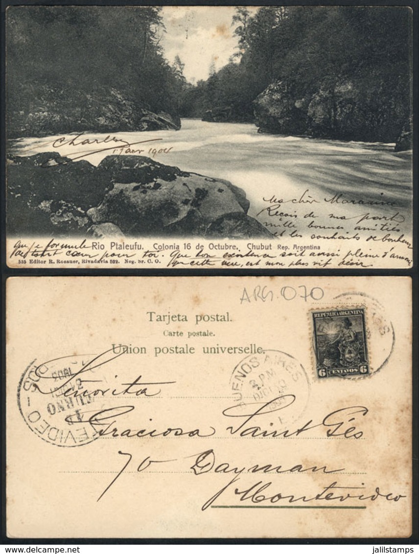 300 ARGENTINA: CHUBUT: Ptaleufú River, Colonia 16 De Octubre, Ed. Rosauer, Used In 1903, - Argentinien