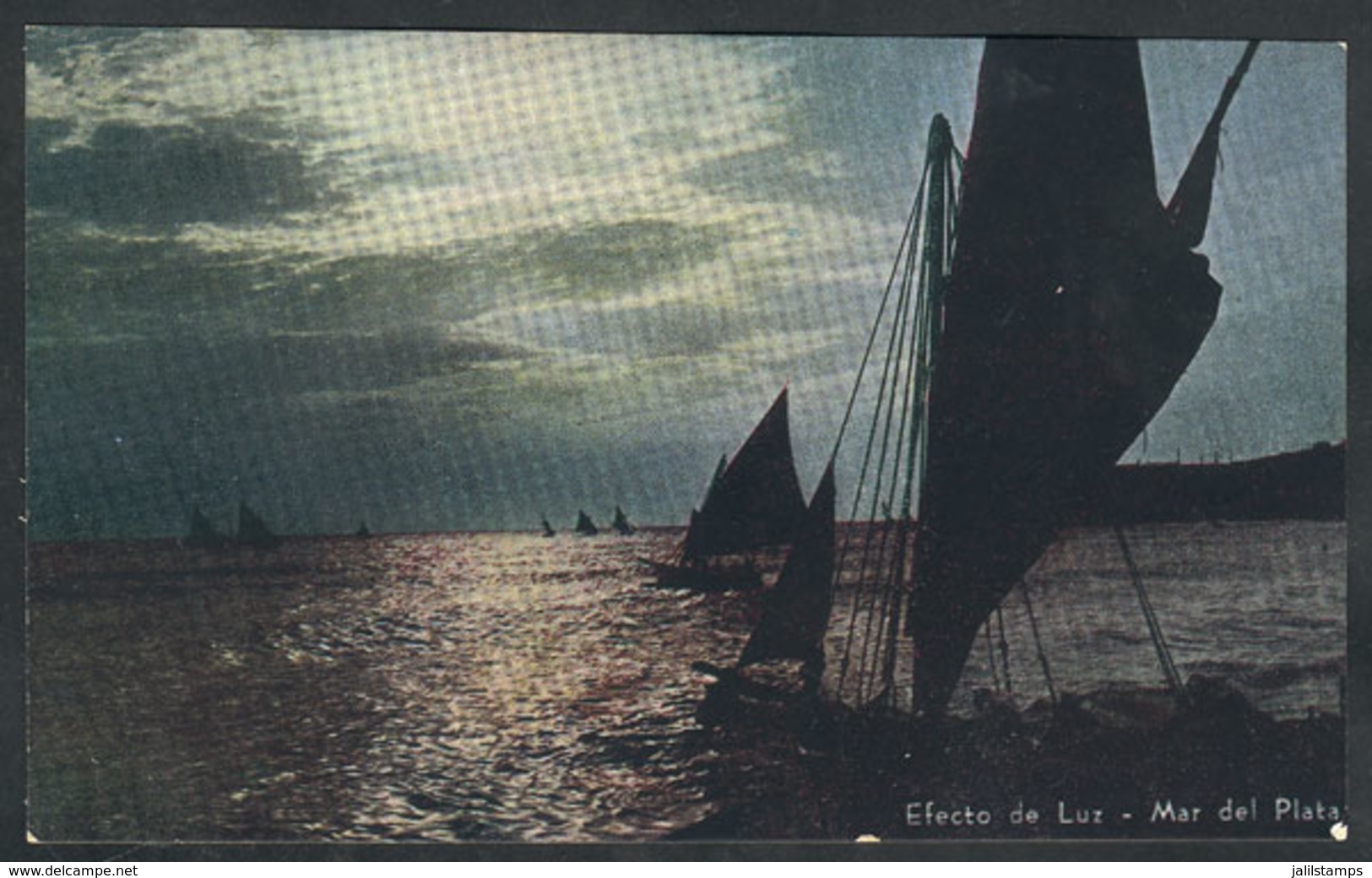 350 ARGENTINA: MAR DEL PLATA: Sailing Boats At Sea, Ed. Casa Rey, Unused And VF - Argentine