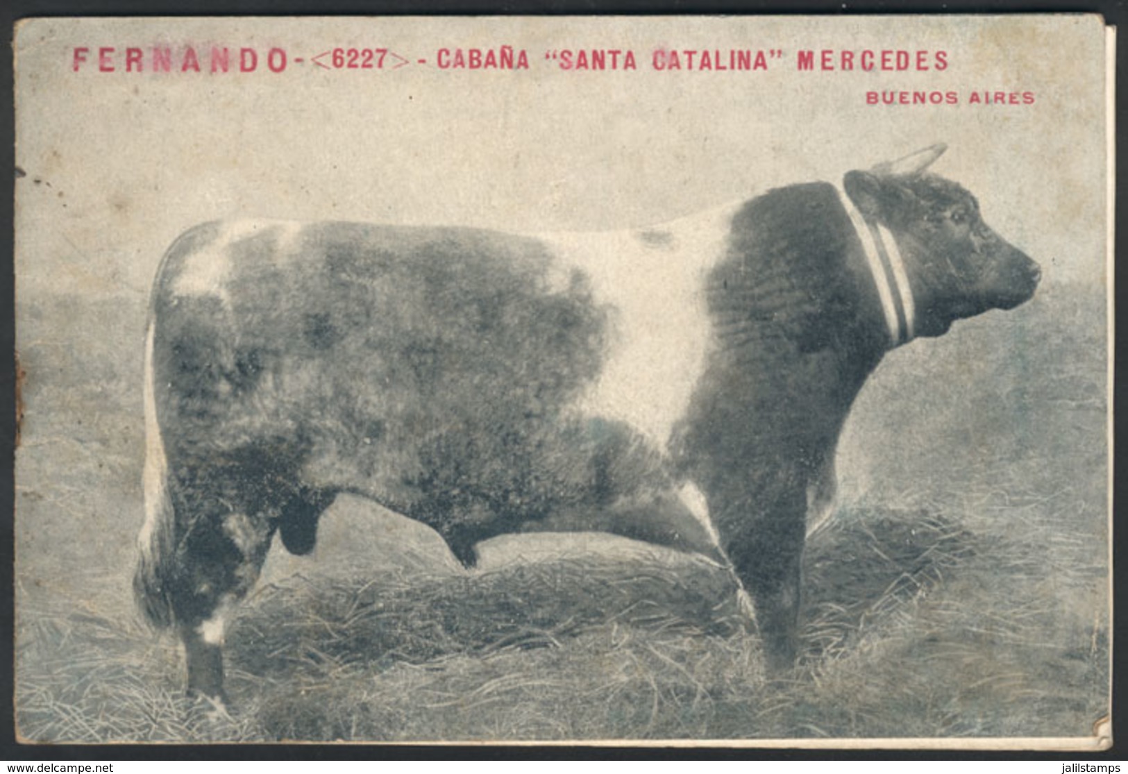517 ARGENTINA: Catalogue For Cattle Auction Held In 1907 In Mercedes, Estancia Santa Cata - Sonstige & Ohne Zuordnung