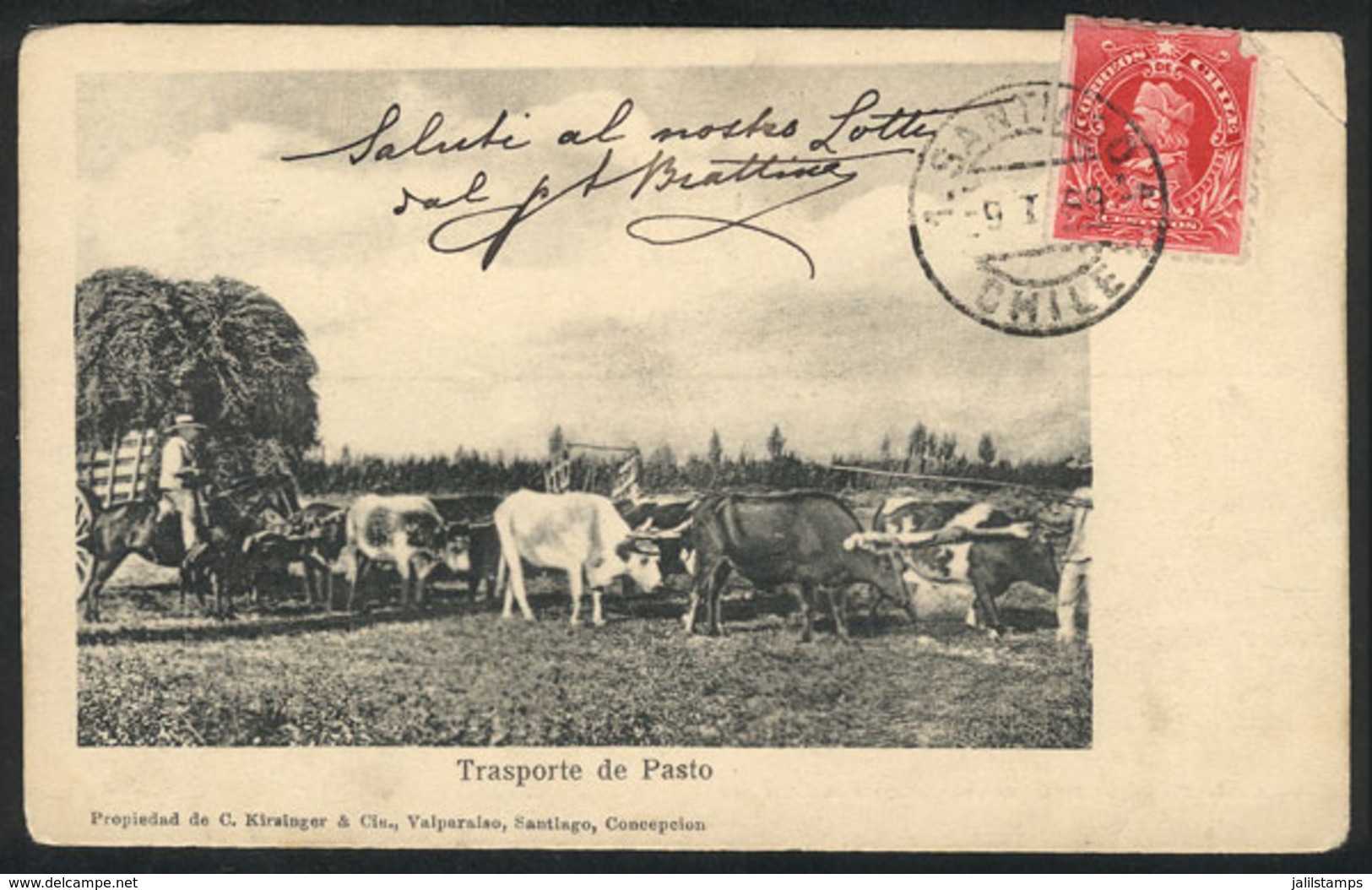 744 CHILE: Ox-cart Carrying Pasture, Ed. Kirsinger, Sent To Italy In 1905, Corner Crease - Chile