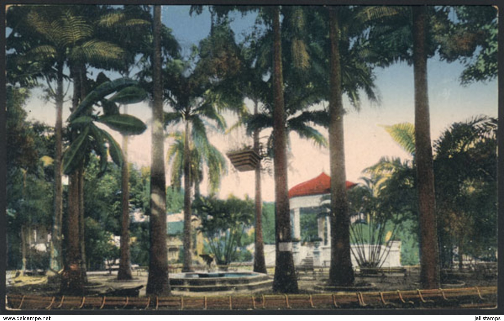 807 COSTA RICA: LIMÓN: A Glimpse Of Vargas Park, Ed. H.Wimmer, VF Quality! - Costa Rica