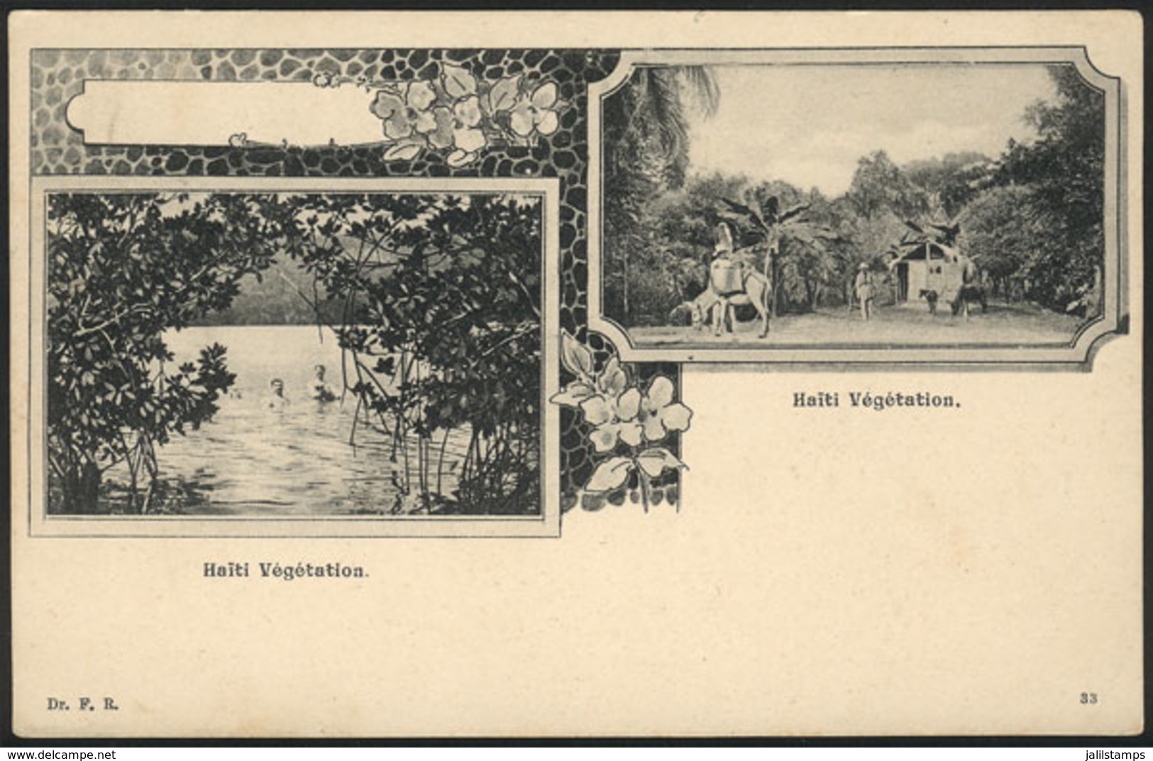 1031 HAITI: PC With Small Views Of The Haitian Vegetation, Circa 1905, VF Quality! - Haïti