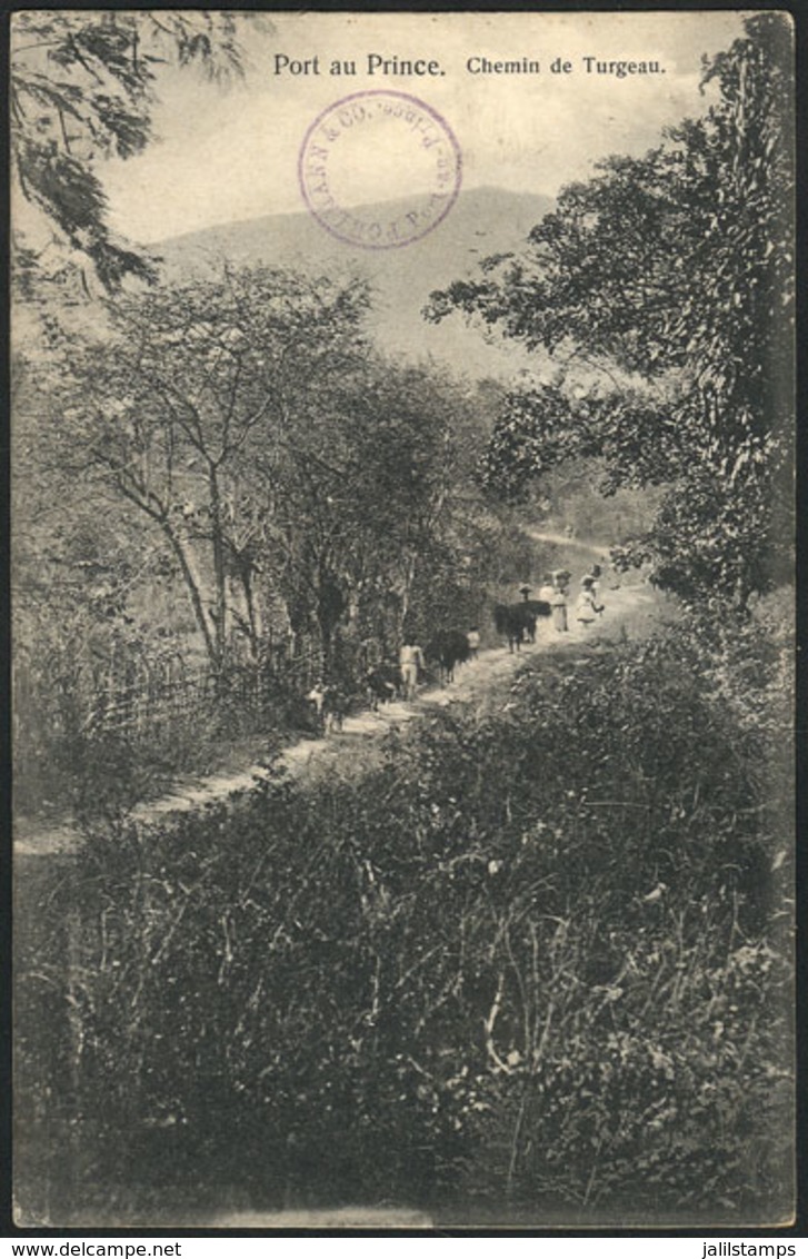 1044 HAITI: PORT AU PRINCE: Road Of Turgeau, Dated 1912, Minor Defects  (layer Separation) - Haiti