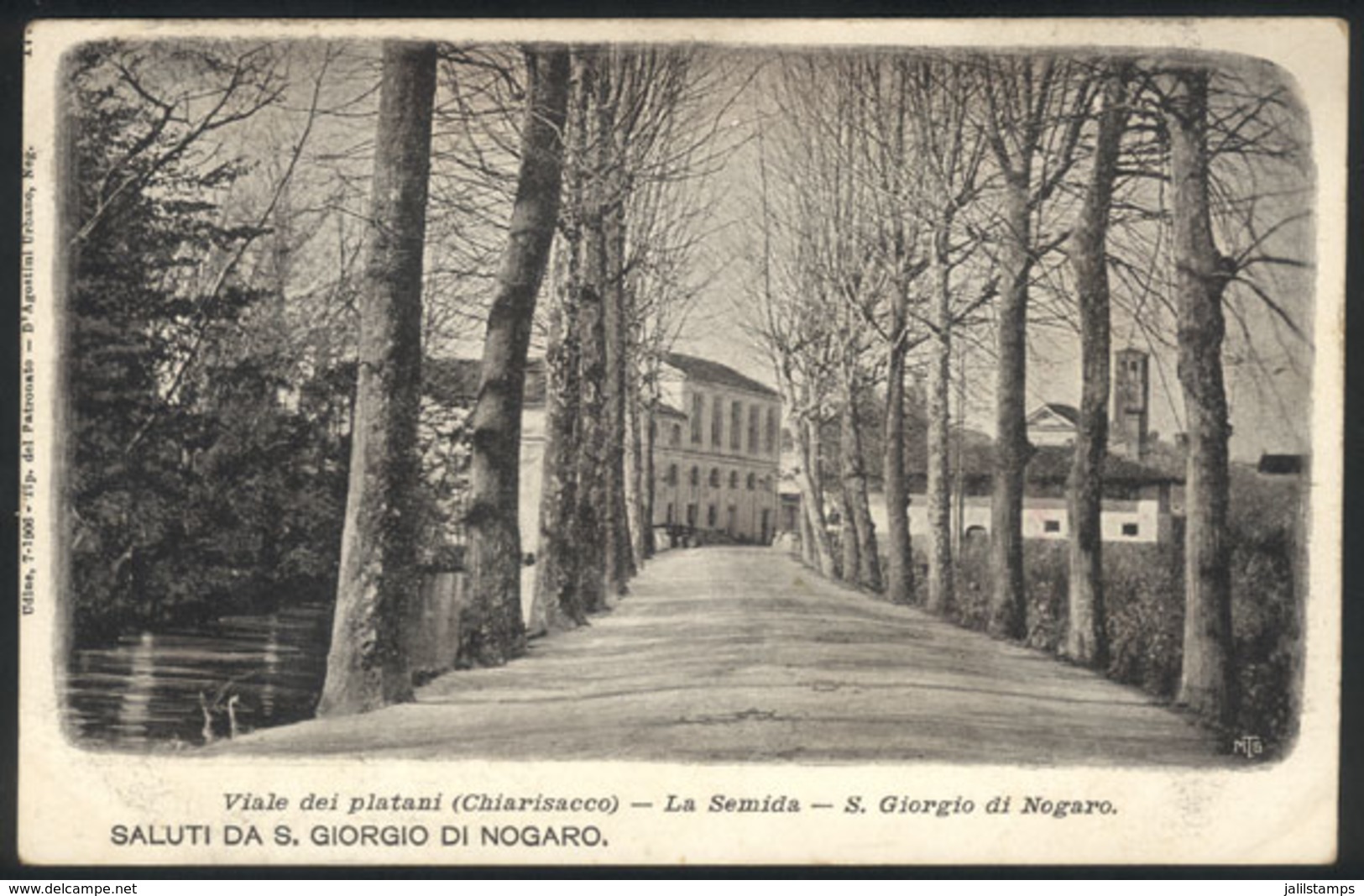 1087 ITALY: S. GIORGIO DI NOGARO: La Semida - Viale Dei Platani (Chiarisacco), Circa 1905, - Autres & Non Classés