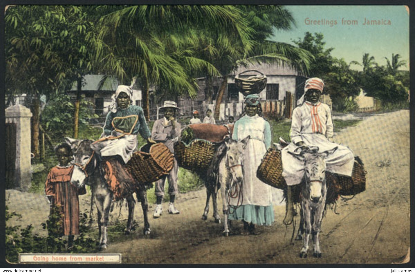 1248 JAMAICA: Going Home From Market, View Of A Family With Loaded Donkeys, VF - Jamaïque