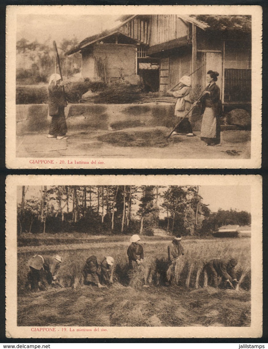 1250 JAPAN: 2 PCs Showing People Producing Rice, Unused, Edited By The Institute Of Foreig - Autres & Non Classés