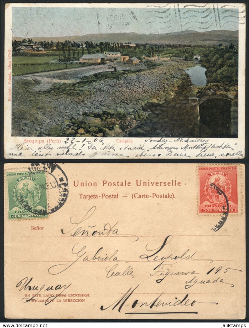 1421 PERU: Rural View Of Arequipa, Ed.Polack, Used In 1906, VF Quality! - Peru