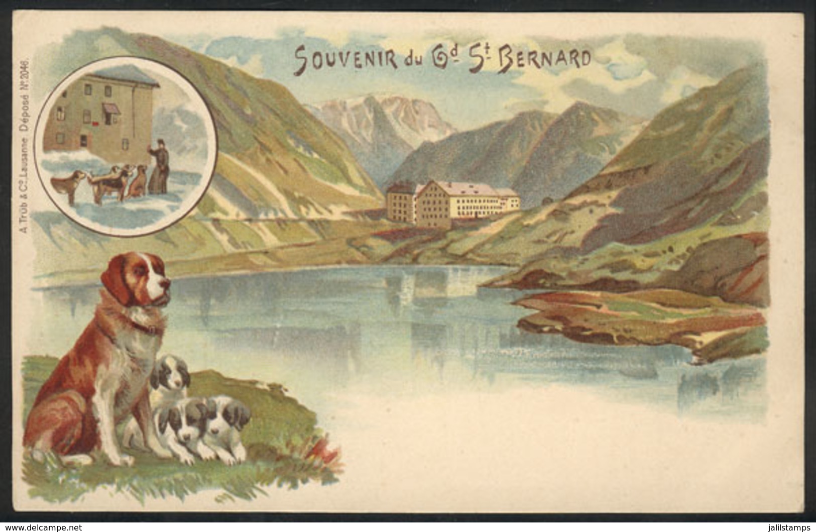 1501 SWITZERLAND: Great St Bernard Pass: Old Lithograph PC, Unused, VF Quality - Bern