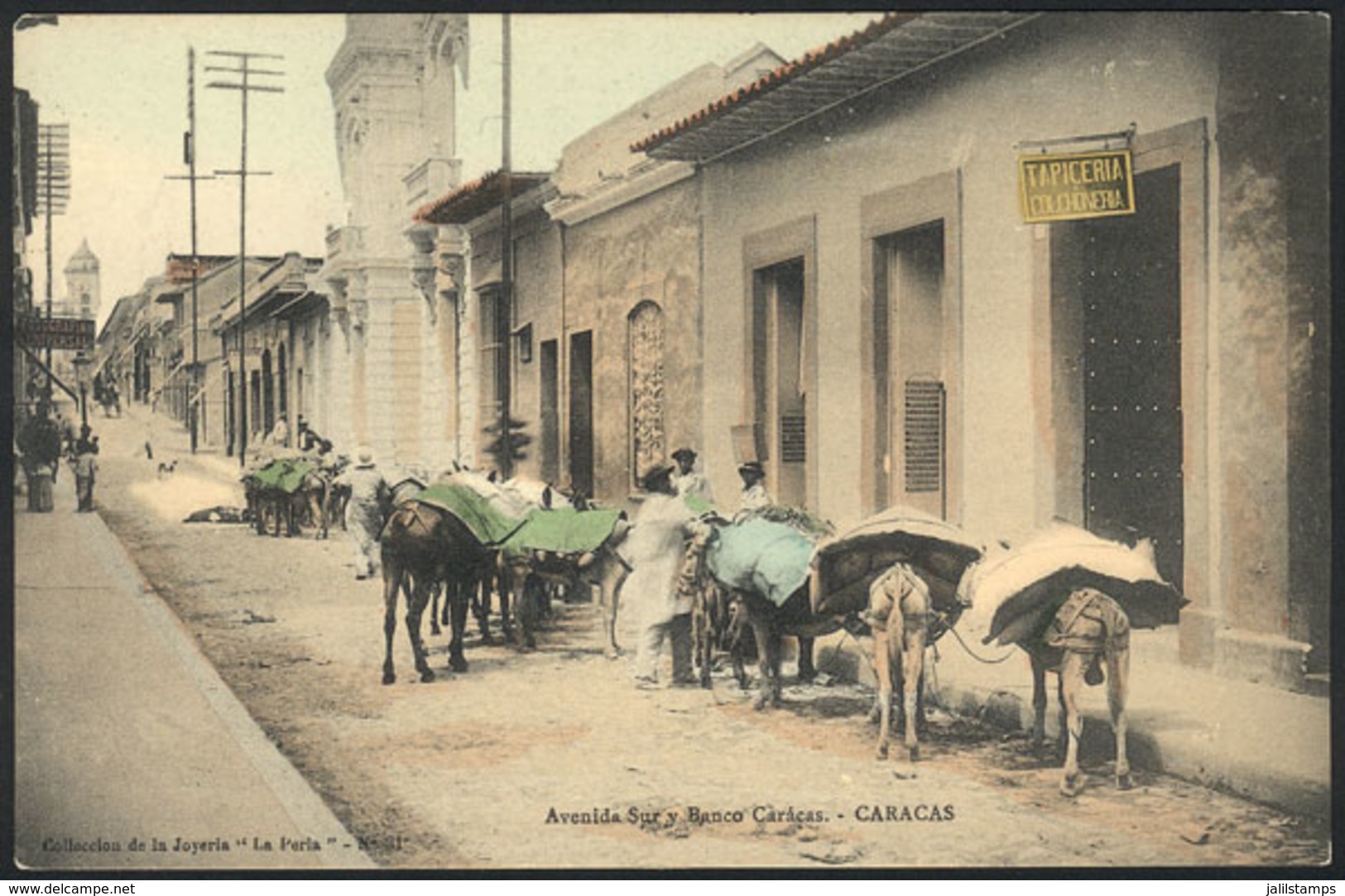 1670 VENEZUELA: CARACAS: South Avenue And Banco Caracas Bank, Loaded Mules, VF Quality! - Venezuela