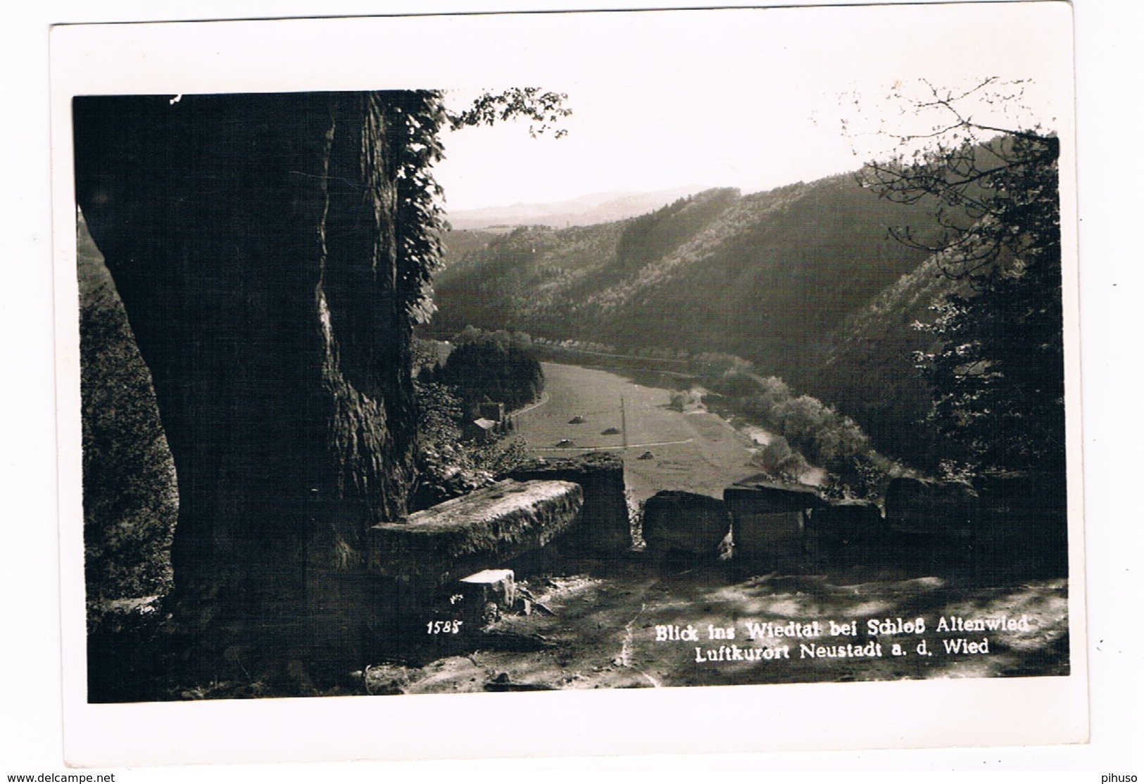 D-8351   NEUSTADT A.d. WIED: Blick Ins Wiedtal Bei Schloss Altenwied - Neuwied