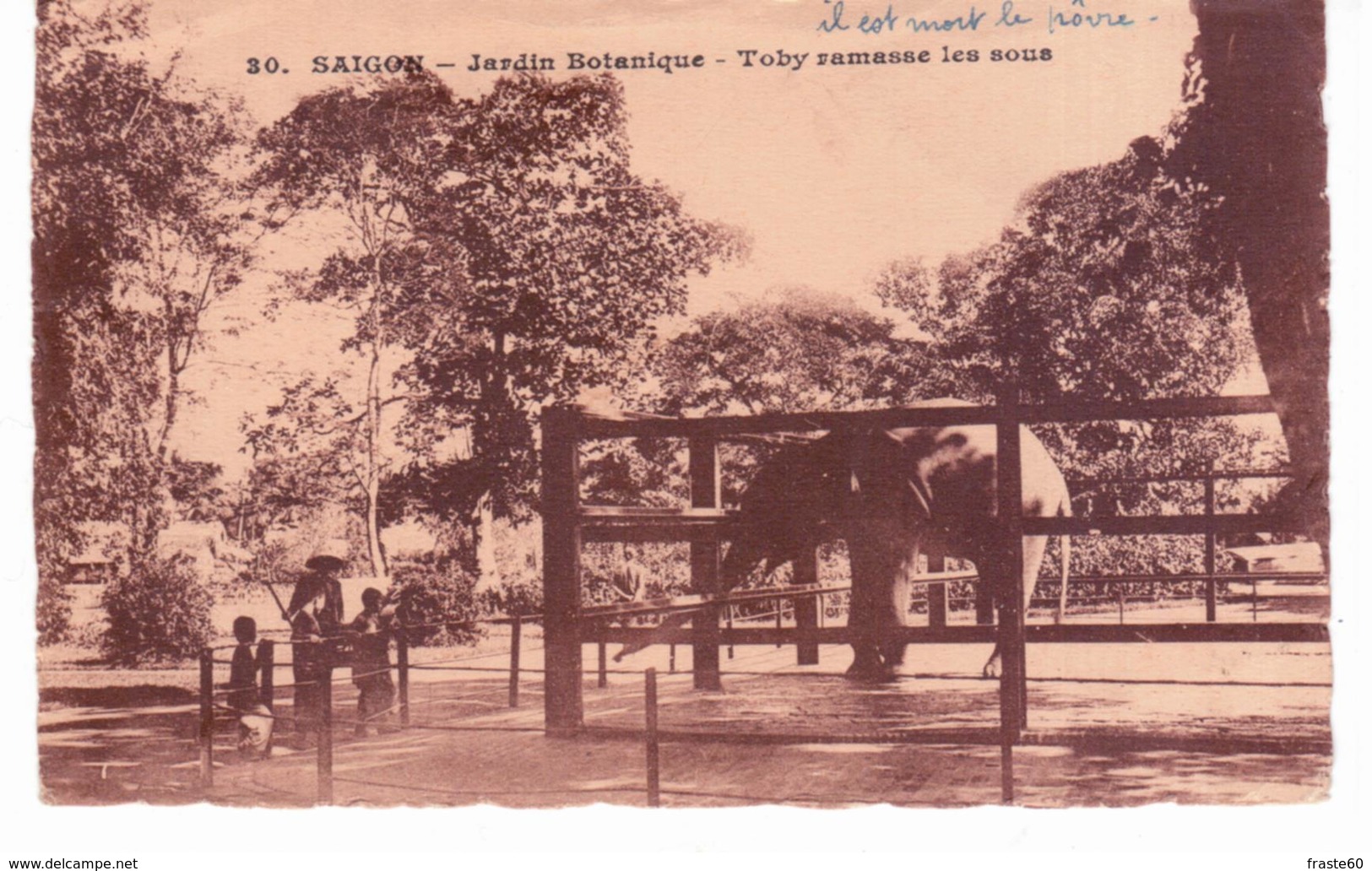 & Saigon - Jardin Botanique - Toby Ramasse Les Sous - Viêt-Nam