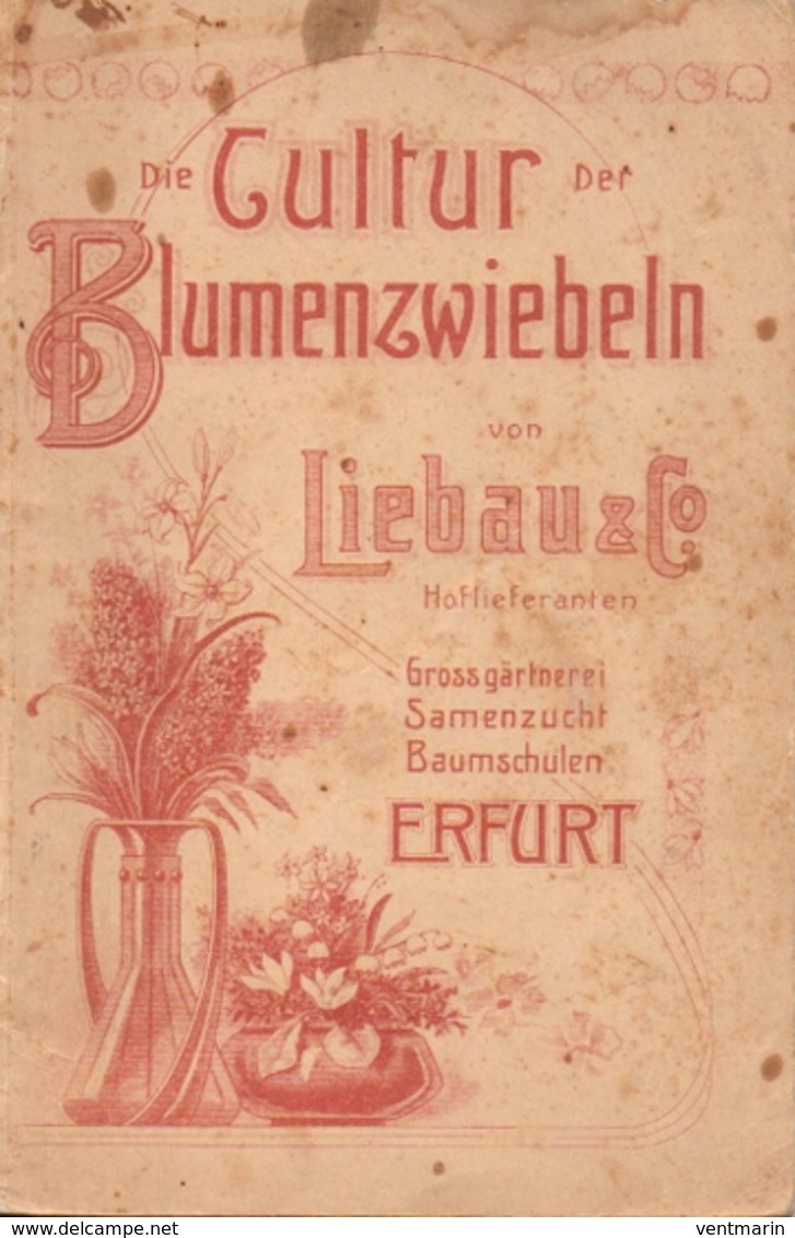 Catalogue Liebau & Co Erfurt Die Cultur Der Blumenzwiebeln - Catalogues