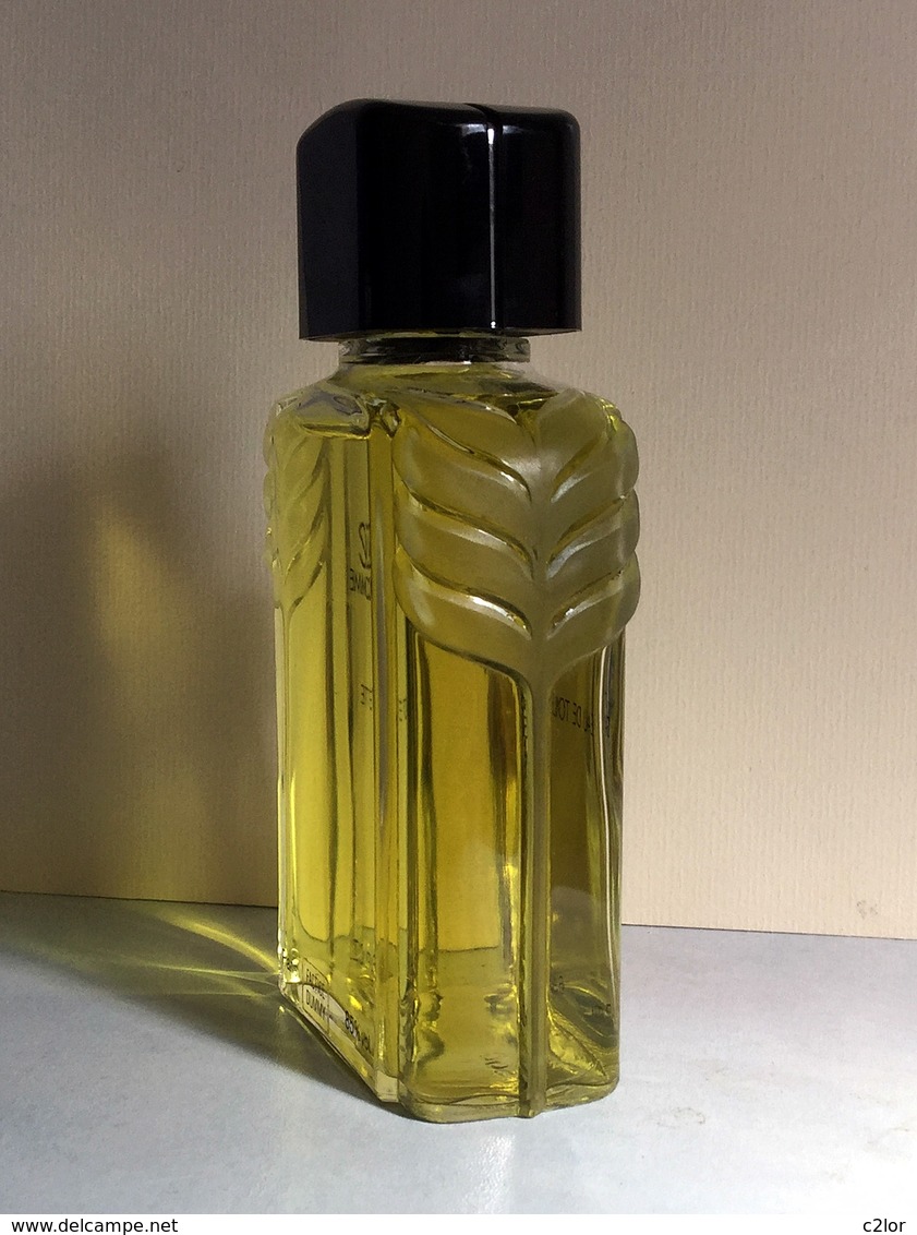 Flacon FACTICE  "L' HOMME "de GIANNI  VERSACE  Eau De Toilette  200 Ml (Rempli D'eau Colorée) - Factices