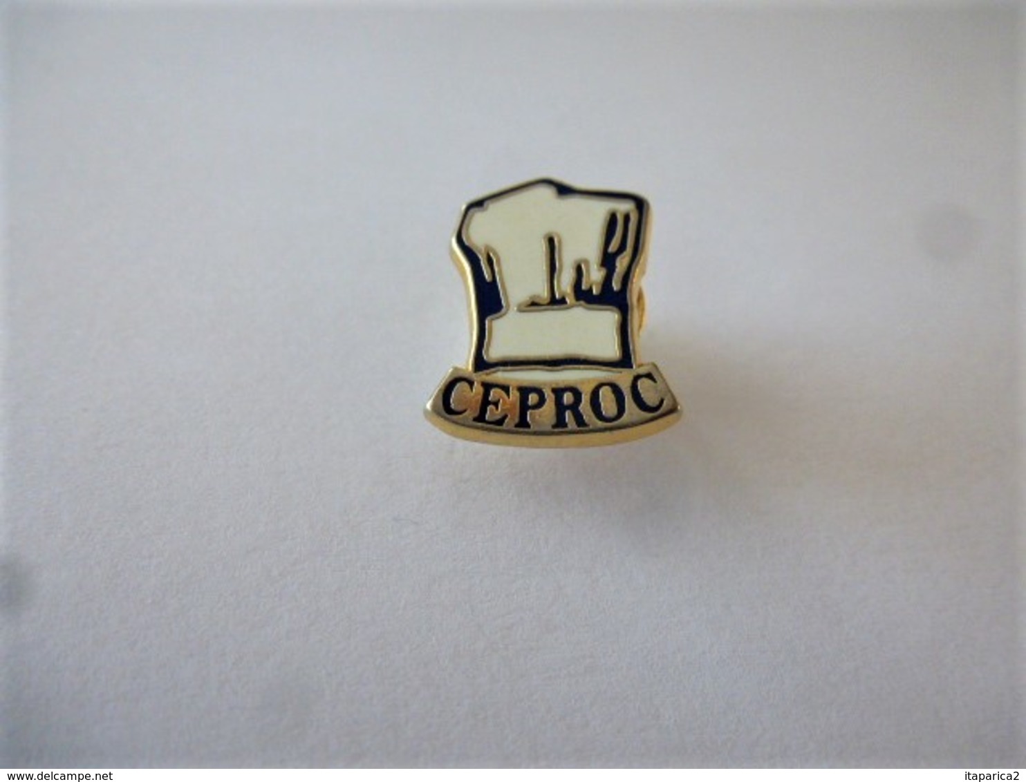 PINS ARTHUS BERTRAND CEPROC  école Des Métiers De La Gastronomie / Toque De Chef  / 33NAT - Arthus Bertrand