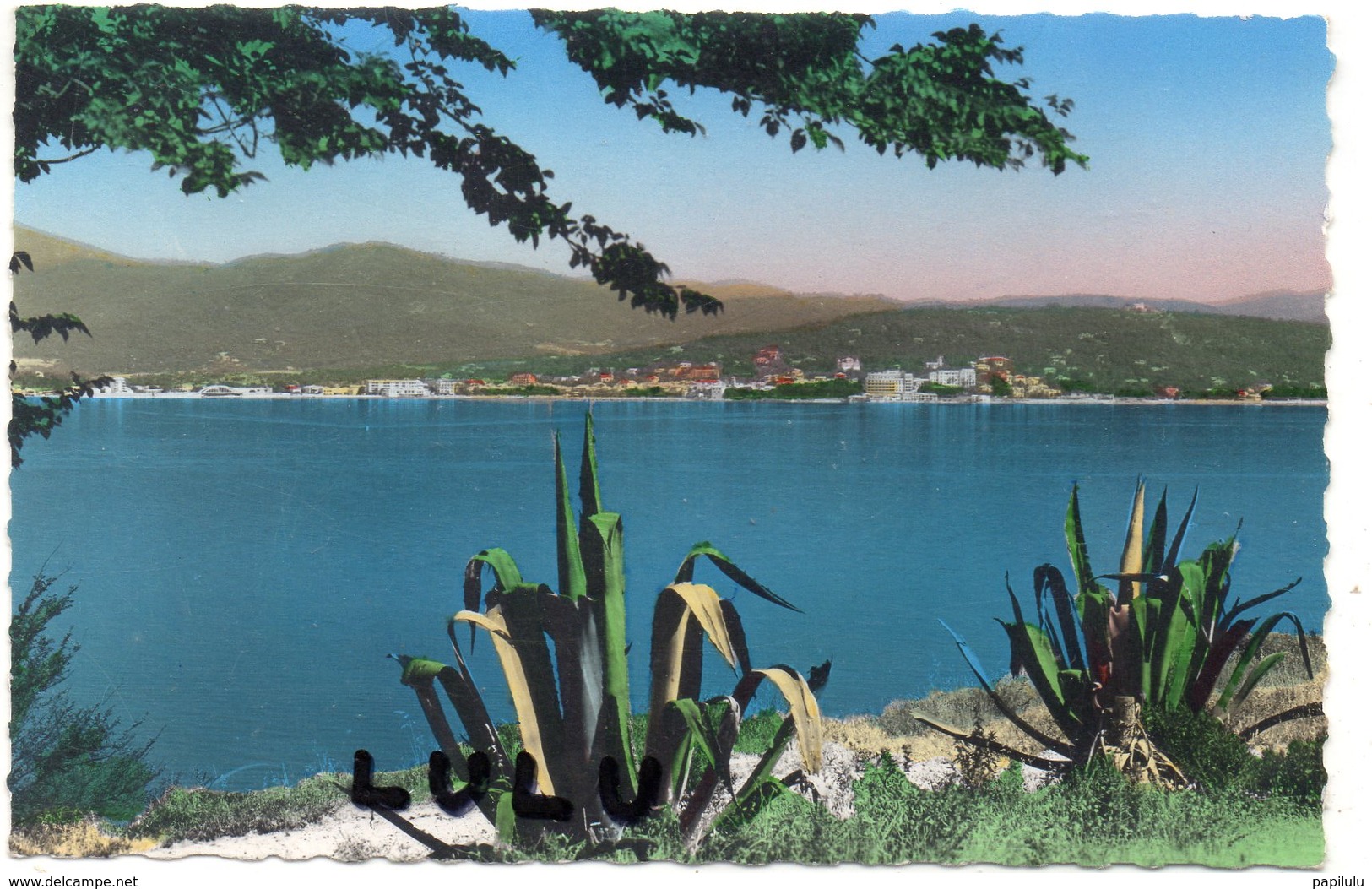 DEPT 83 : édit. S E P T N° 65-51 : Saint Tropez Vue Sur Sainte Maxime Et De Golf De St Tropez - Saint-Tropez