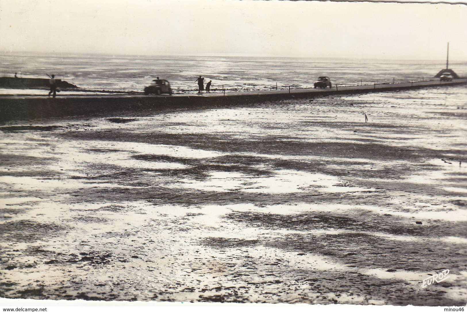 NOIRMOUTIER :CPSM.P.F.CRANTEE.PASSAGE DU GOIS AU COUCHER DU SOLEIL.2CV.N.CIRCULEE.N°1038.T.B.ETAT.PETIT PRIX.COMPAREZ!!! - Ile De Noirmoutier