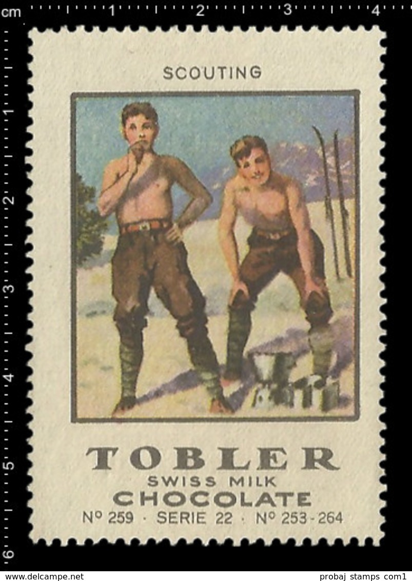 Swiss Poster stamp, complete set of 12 poster stamps, Reklamemarke, Cinderella, Vignetter, Scout, Pfadfinder. VERY RARE