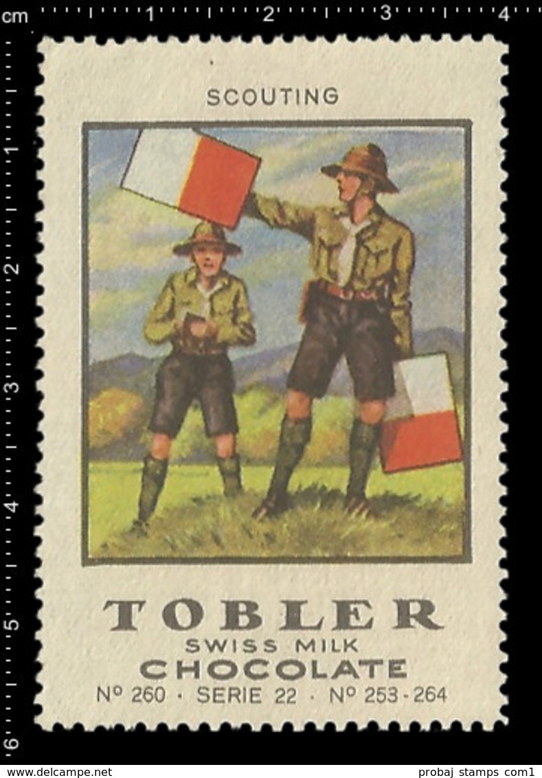 Swiss Poster stamp, complete set of 12 poster stamps, Reklamemarke, Cinderella, Vignetter, Scout, Pfadfinder. VERY RARE