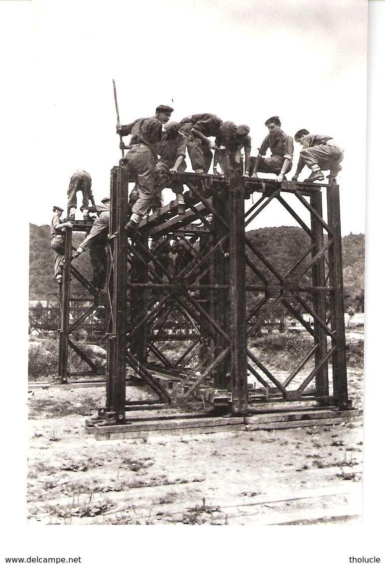 Militaria-Belgisch Leger-Armée Belge-Génie-Manoeuvres-Construction D'un Pont-Bouwen Van Een Brugelement-Photo Véritable - Manoeuvres