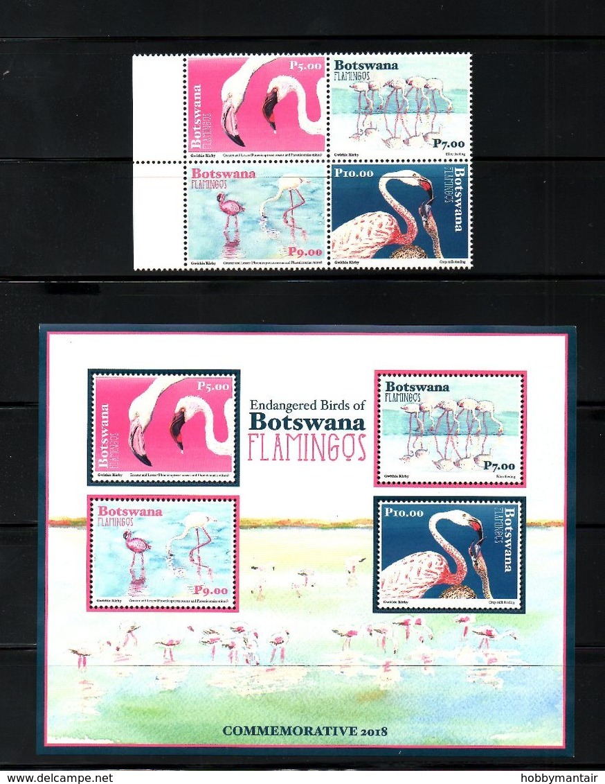 BOTSWANA, 2018, BIRDS- FLAMINGOS, 4v.+S/S, MNH**NEW - Autres & Non Classés