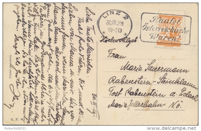 Austria 1929 Picture Postcard From Linz With Machine Cancel "Kaufet Österreichische Waren" Werbestempel - Storia Postale