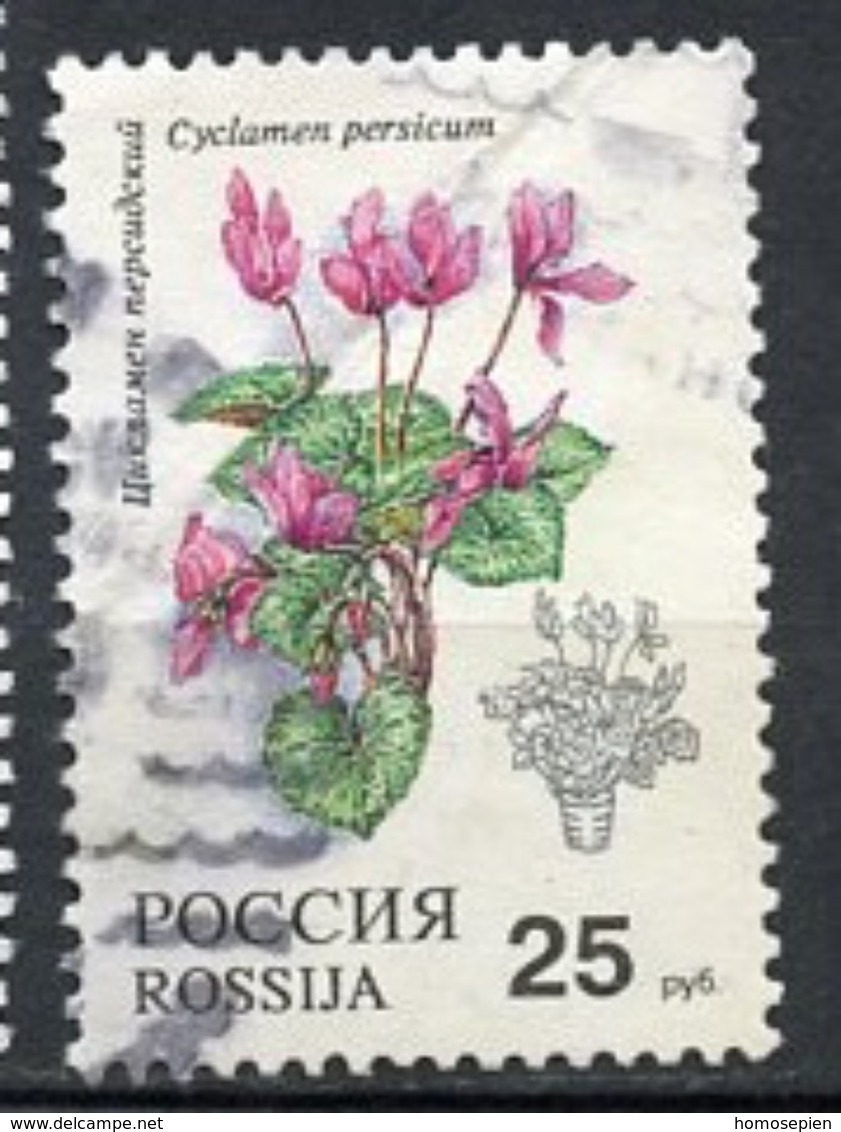 Russie - Russia - Russland 1993 Y&T N°5990 - Michel N°298 (o) - 25r Cyclamen - Gebruikt