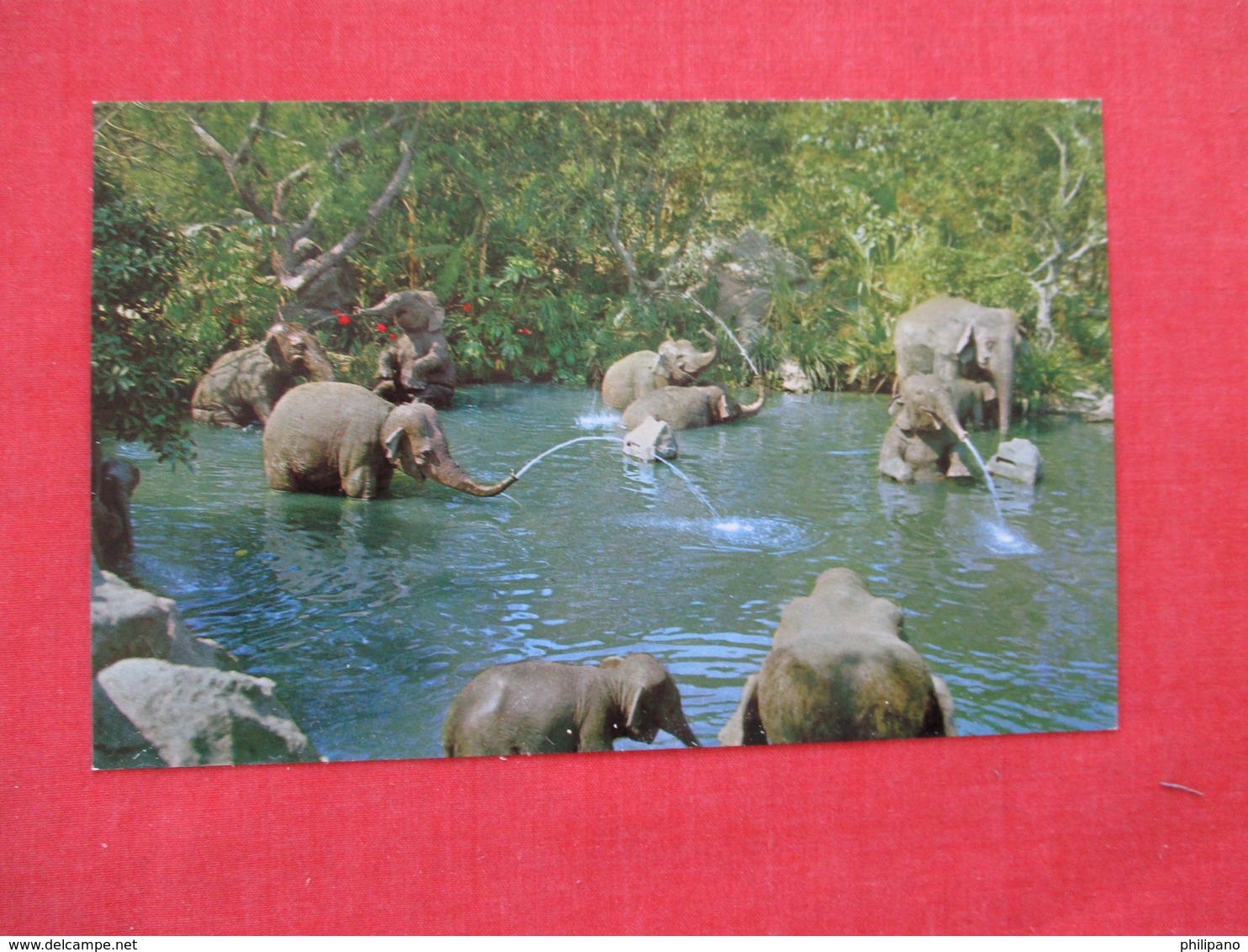 Disneyland --Elephant Bathing Pool    Ref 2934 - Disneyland