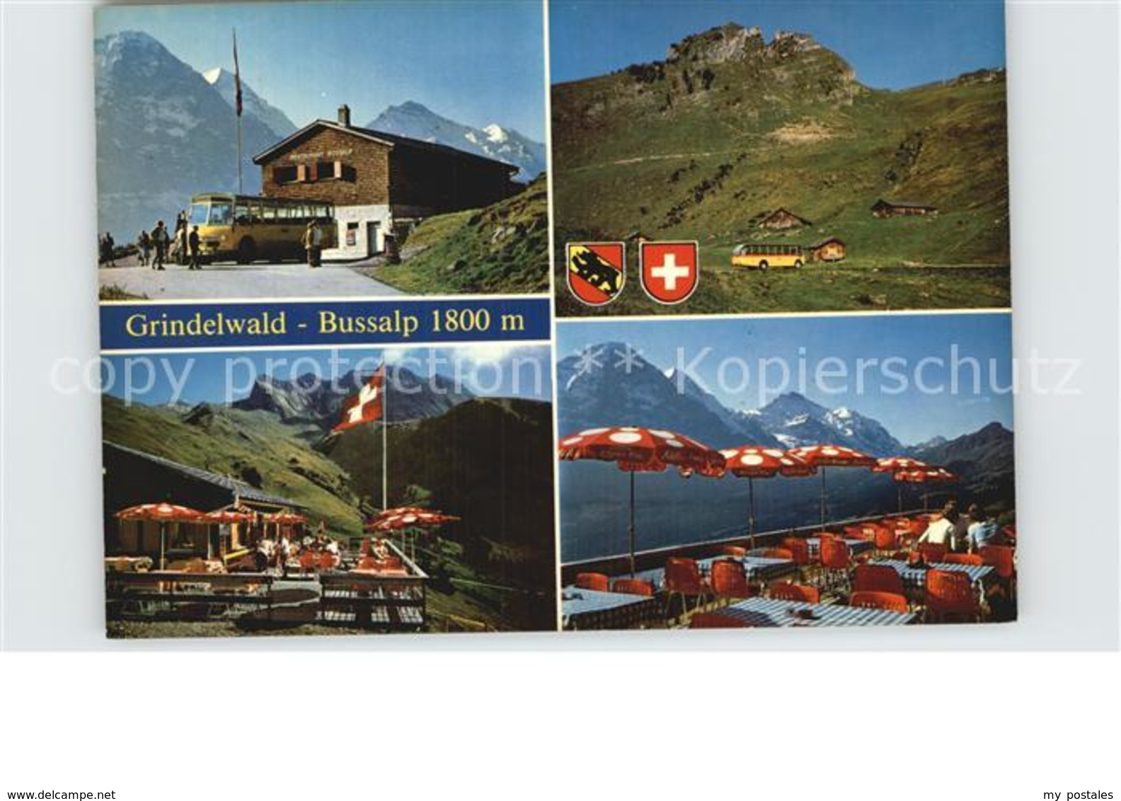 12582637 Grindelwald Bergrestaurant Bussalp Sonnenterrasse Alpen Grindelwald - Grindelwald