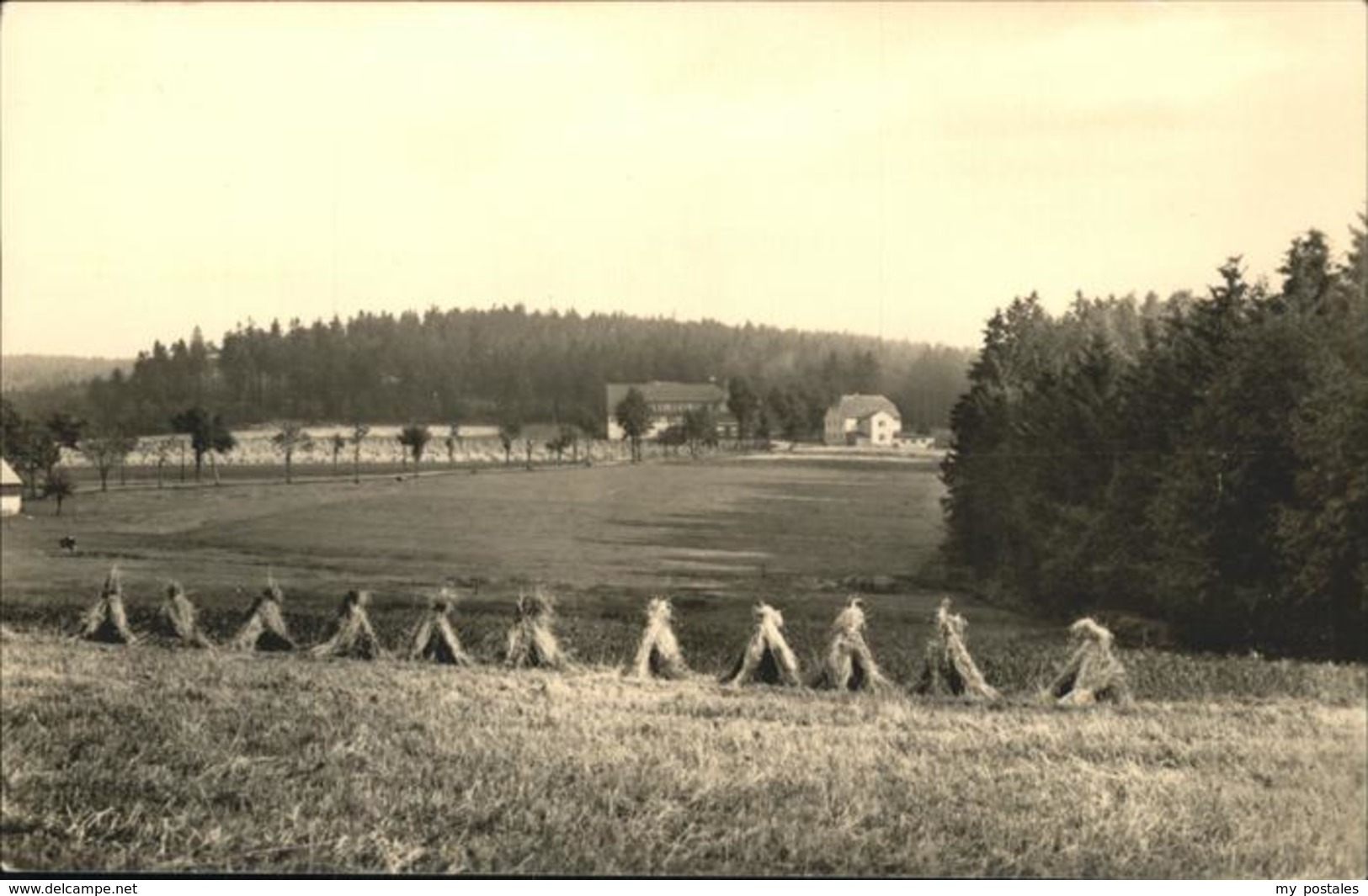 41234234 Holzhau Rechenberg-Bienenmuehle Fischerbaude Holzhau - Rechenberg-Bienenmühle