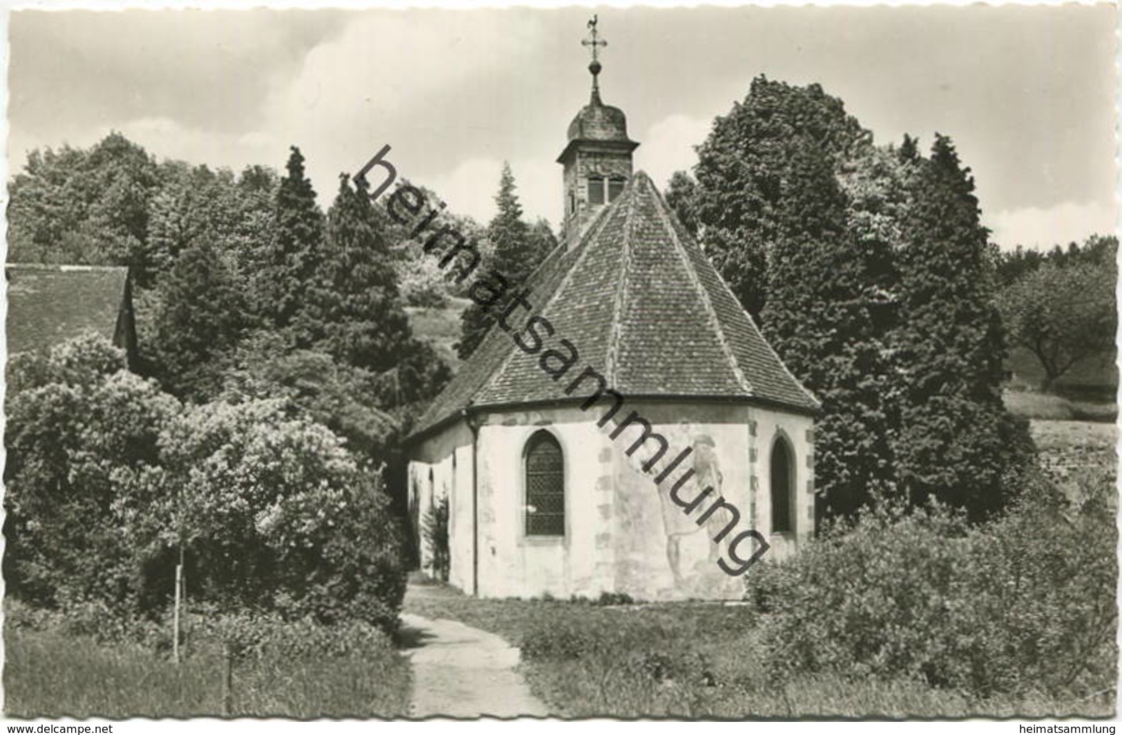 Amorbach - Amorsbrunn - Foto-AK - Verlag M. Fahs Amorbach Gel. 1959 - Amorbach