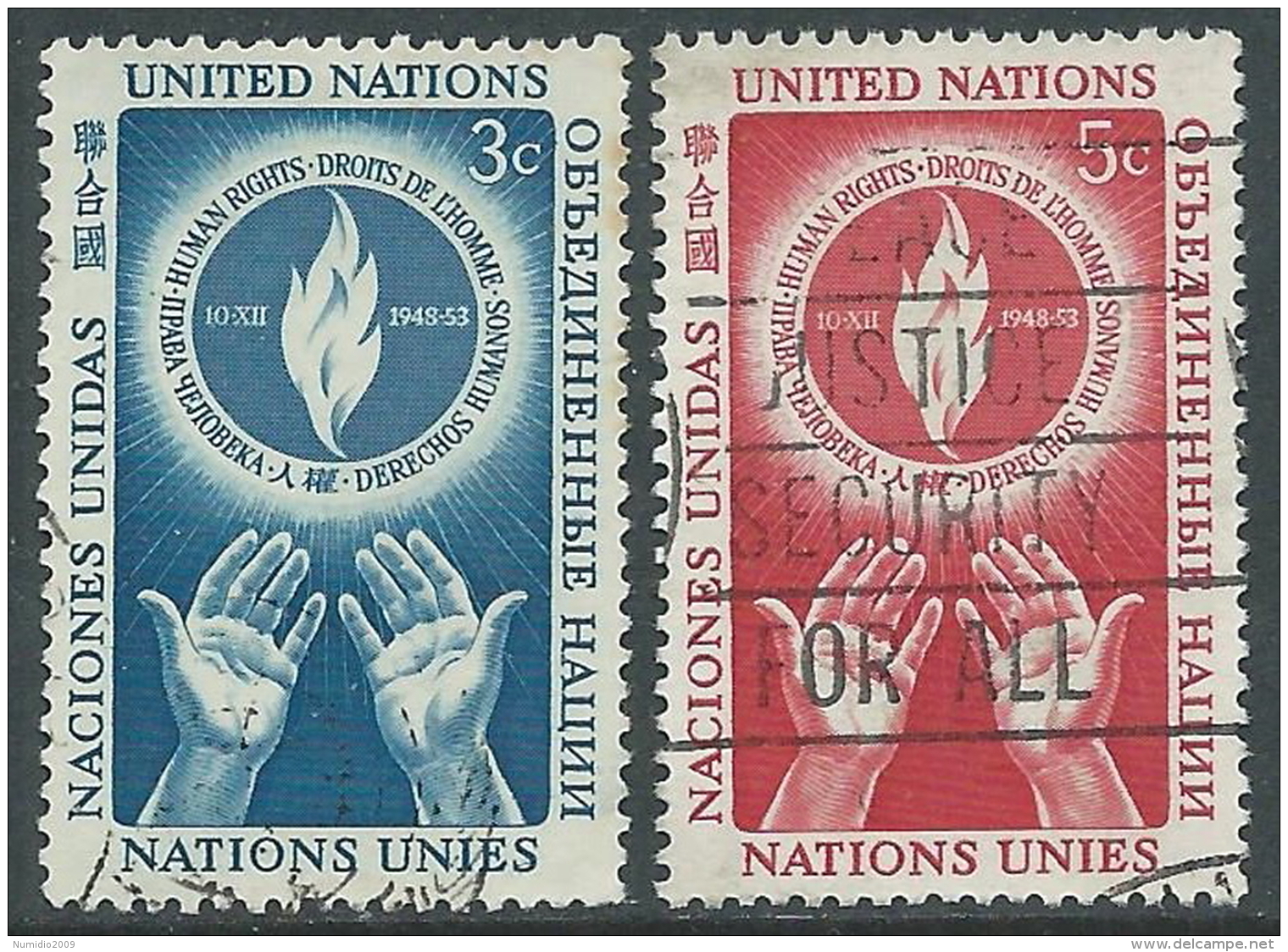 1953 NAZIONI UNITE NEW YORK USATO GIORNATA DEI DIRITTI DELL'UOMO - Z15-5 - Used Stamps