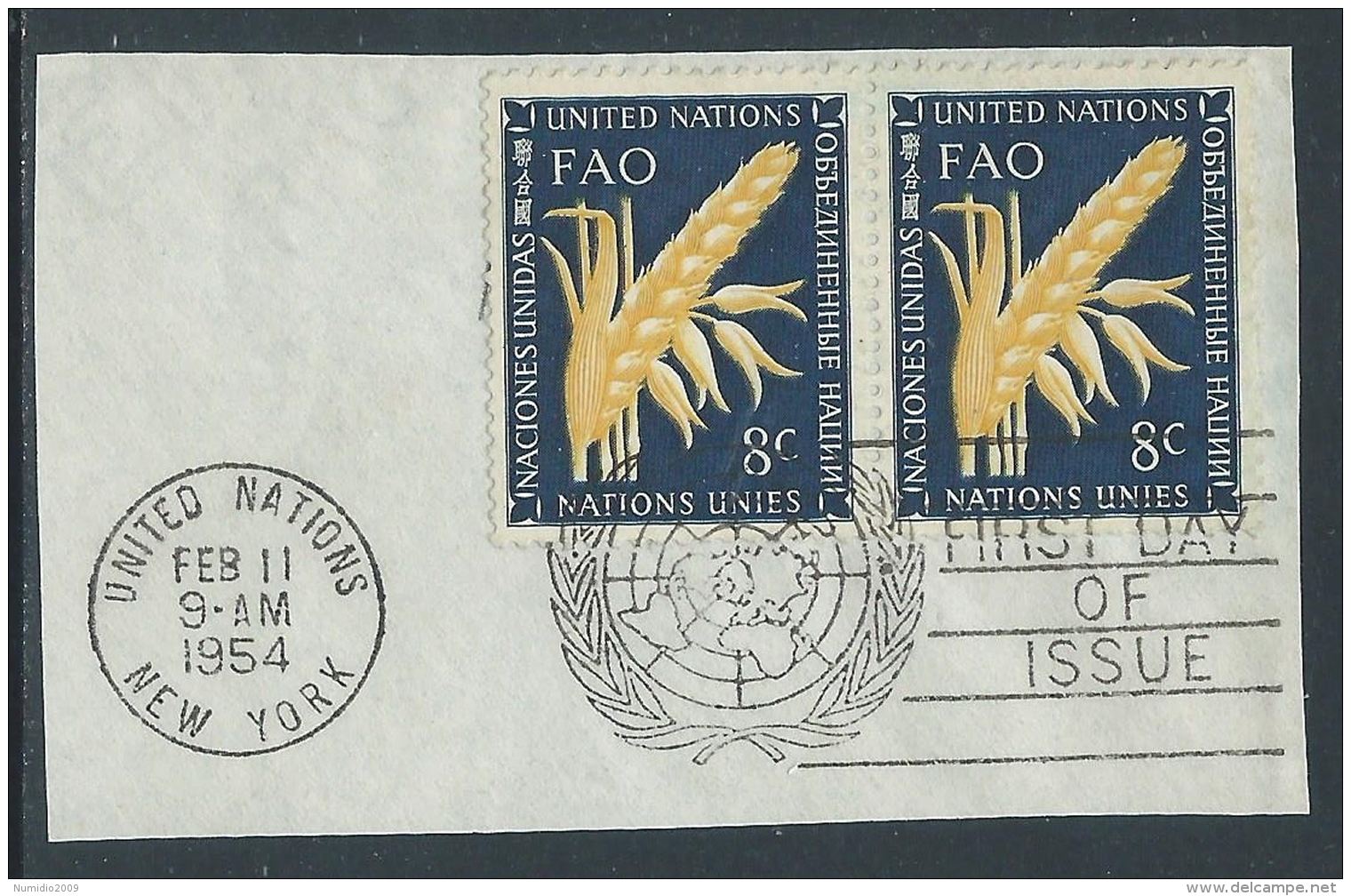 1954 NAZIONI UNITE NEW YORK USATO FAO 8 CENT - Z19-9 - Oblitérés