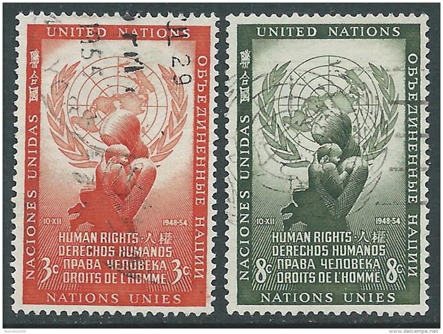 1954 NAZIONI UNITE NEW YORK USATO GIORNATA DEI DIRITTI DELL'UOMO - Z12-8 - Used Stamps