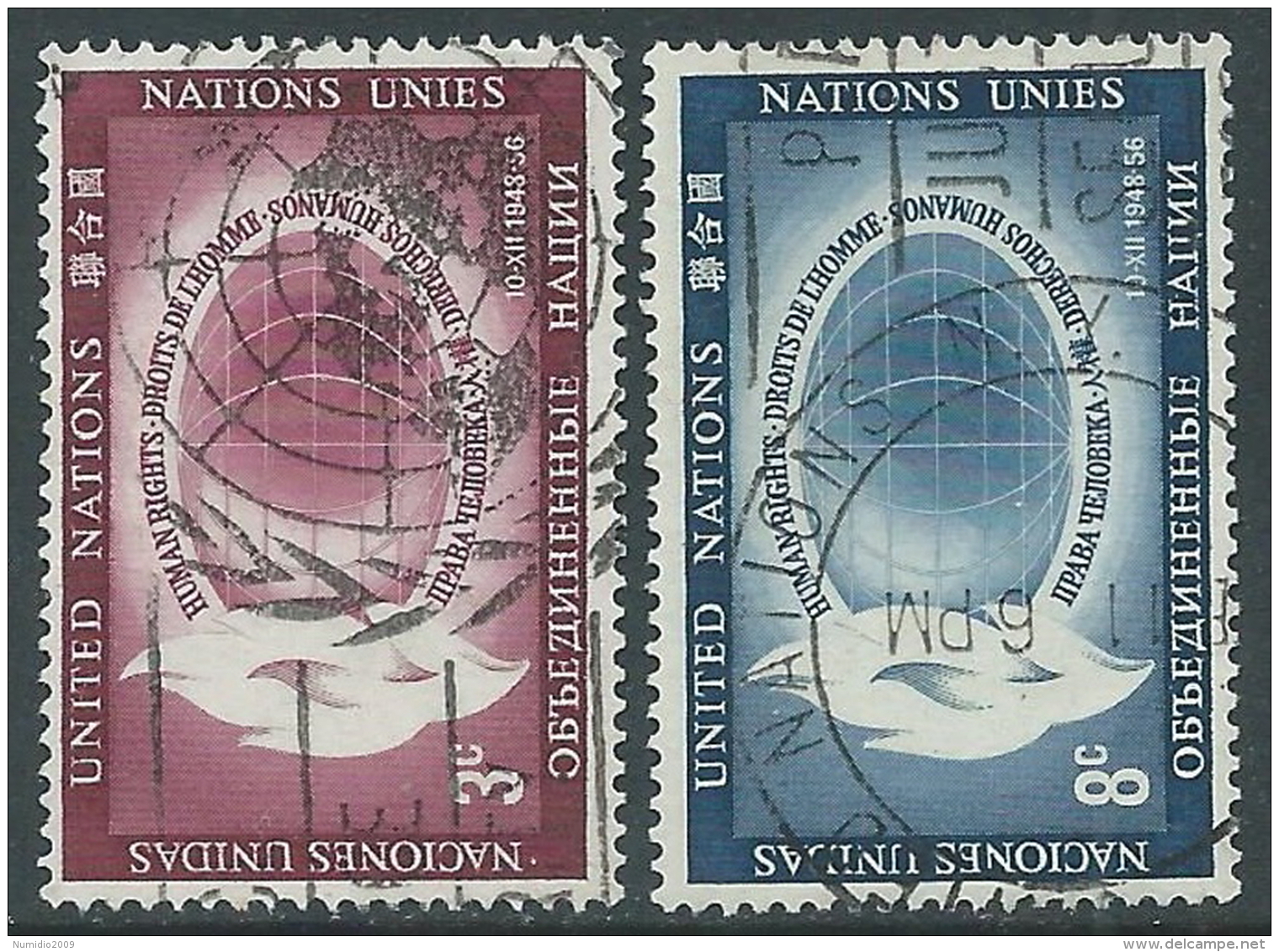 1956 NAZIONI UNITE NEW YORK USATO GIORNATA DEI DIRITTI DELL'UOMO - Z18-2 - Used Stamps