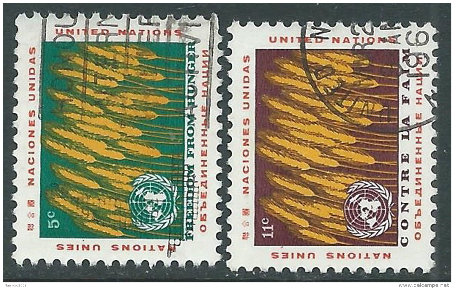 1963 NAZIONI UNITE NEW YORK USATO CAMPAGNA CONTRO LA FAME - Z18-7 - Used Stamps