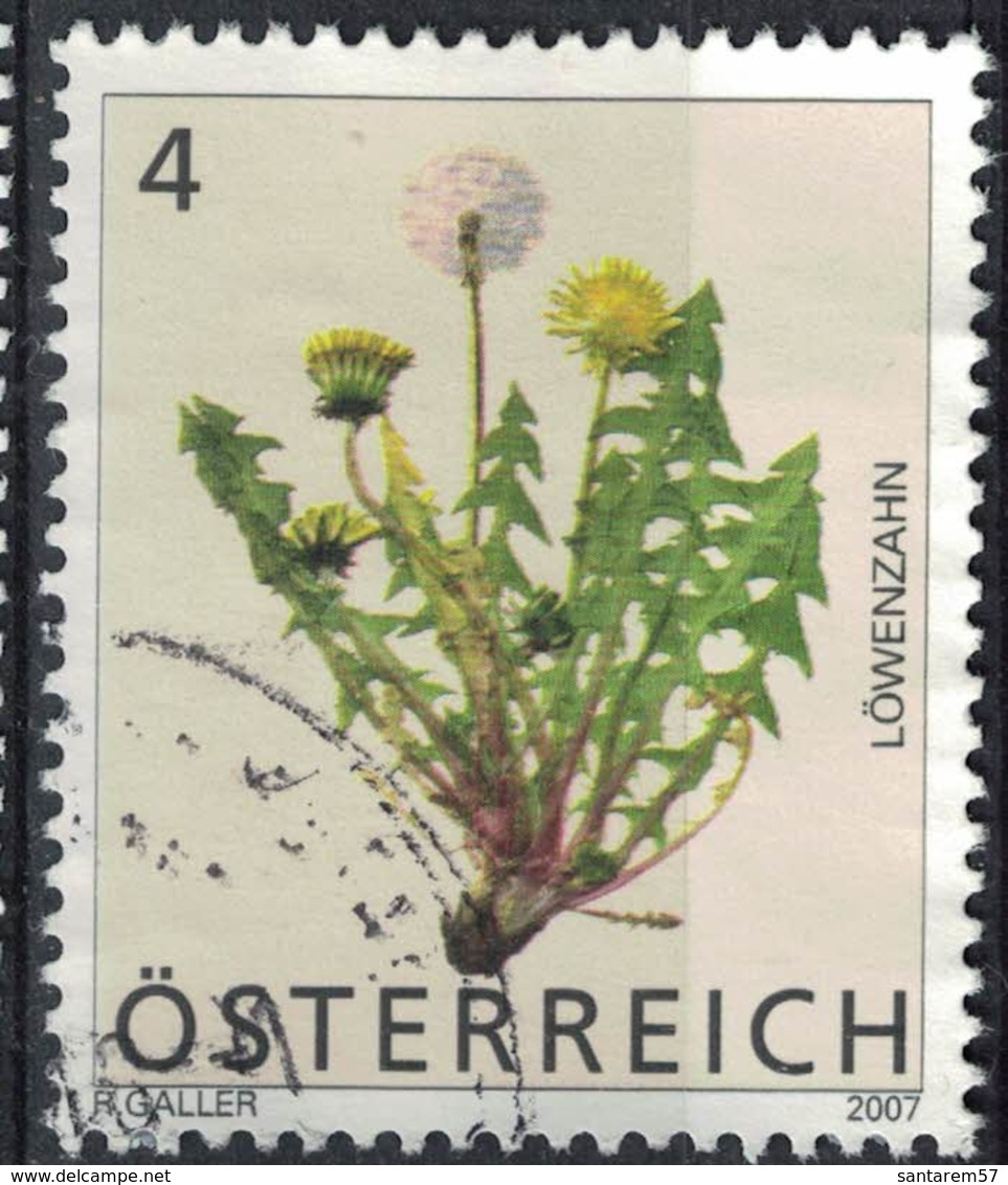 Autriche 2007 Oblitéré Used Plante Taraxacum Officinale Pissenlit SU - Oblitérés