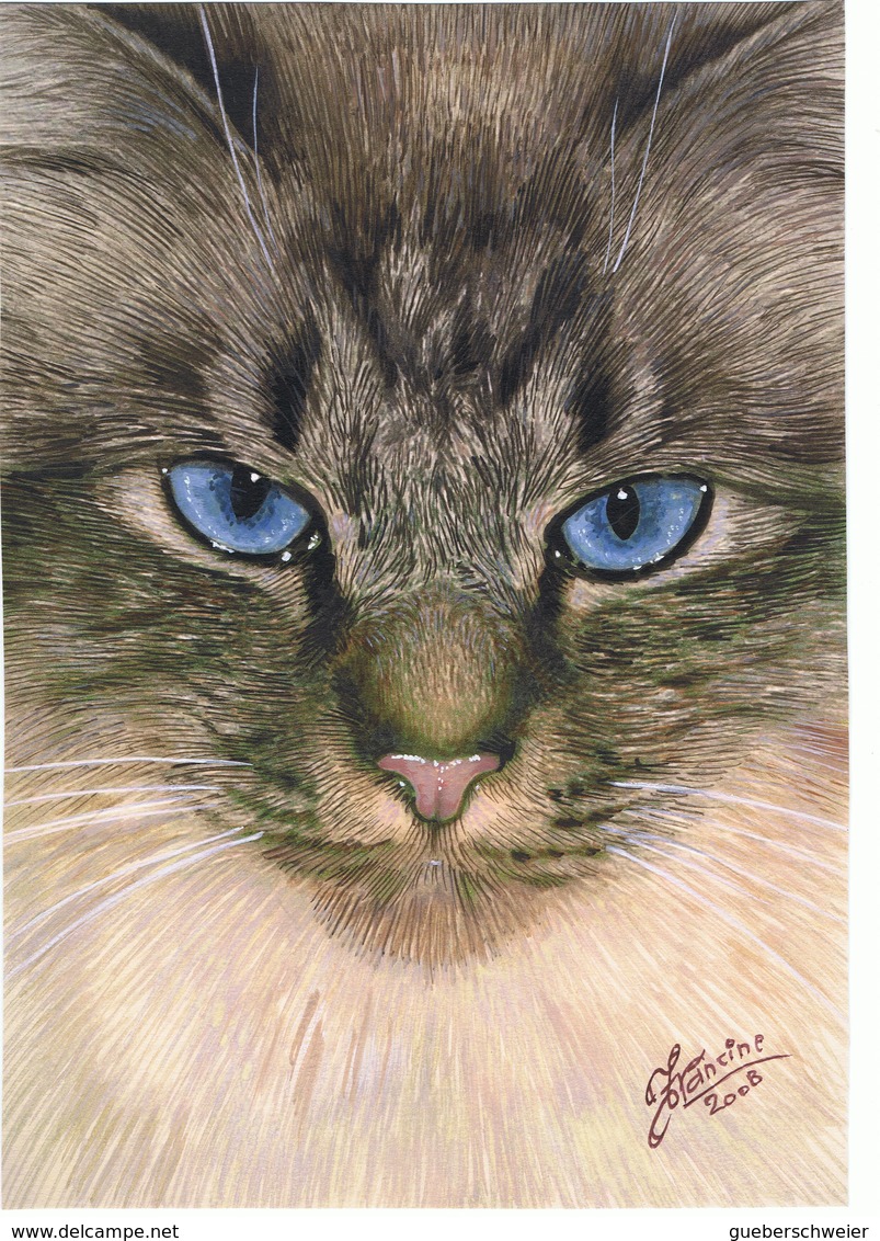 CHAT 1 - AQUARELLE ORIGINALE "SON ALTESSE" De Francine Van De Walle -Lallemand De 2008 à 50% Prix Galerie - Aquarelles