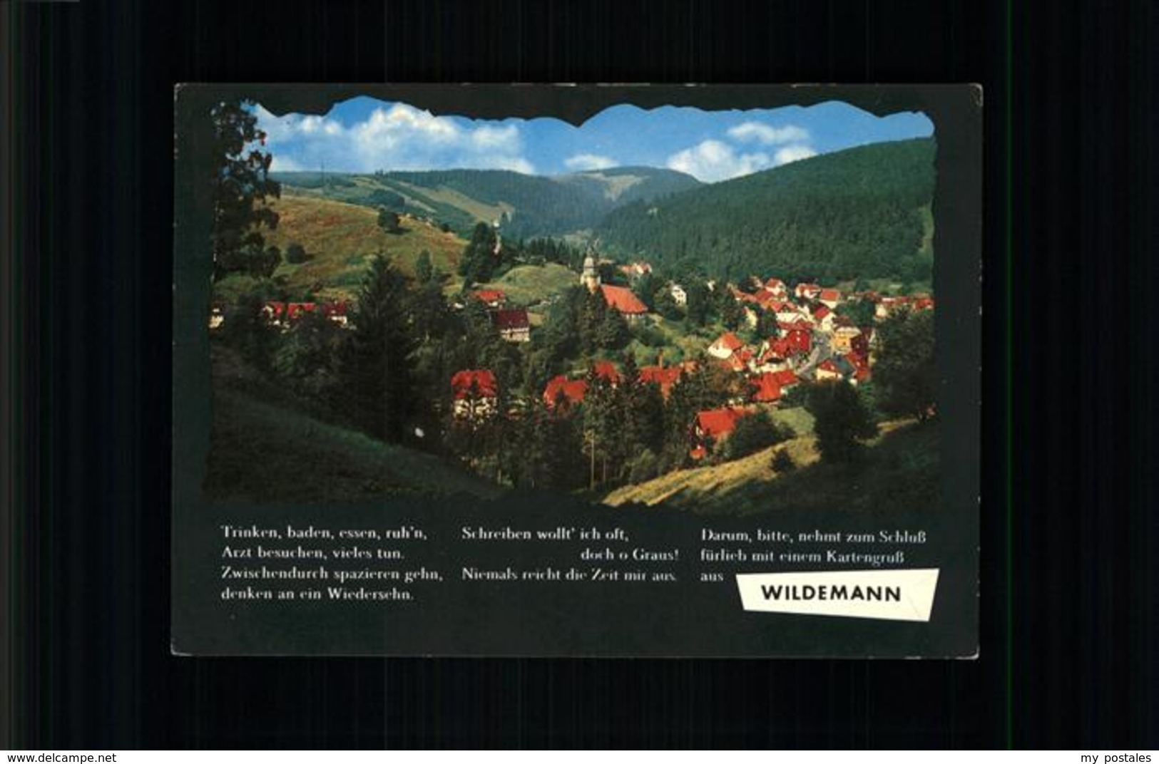 41234722 Wildemann  Wildemann - Wildemann