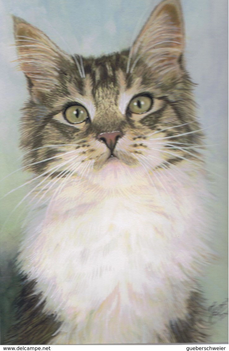 CHAT 13 - AQUARELLE ORIGINALE "GABSY" De Francine Van De Walle -Lallemand à 50% Prix Galerie - Watercolours