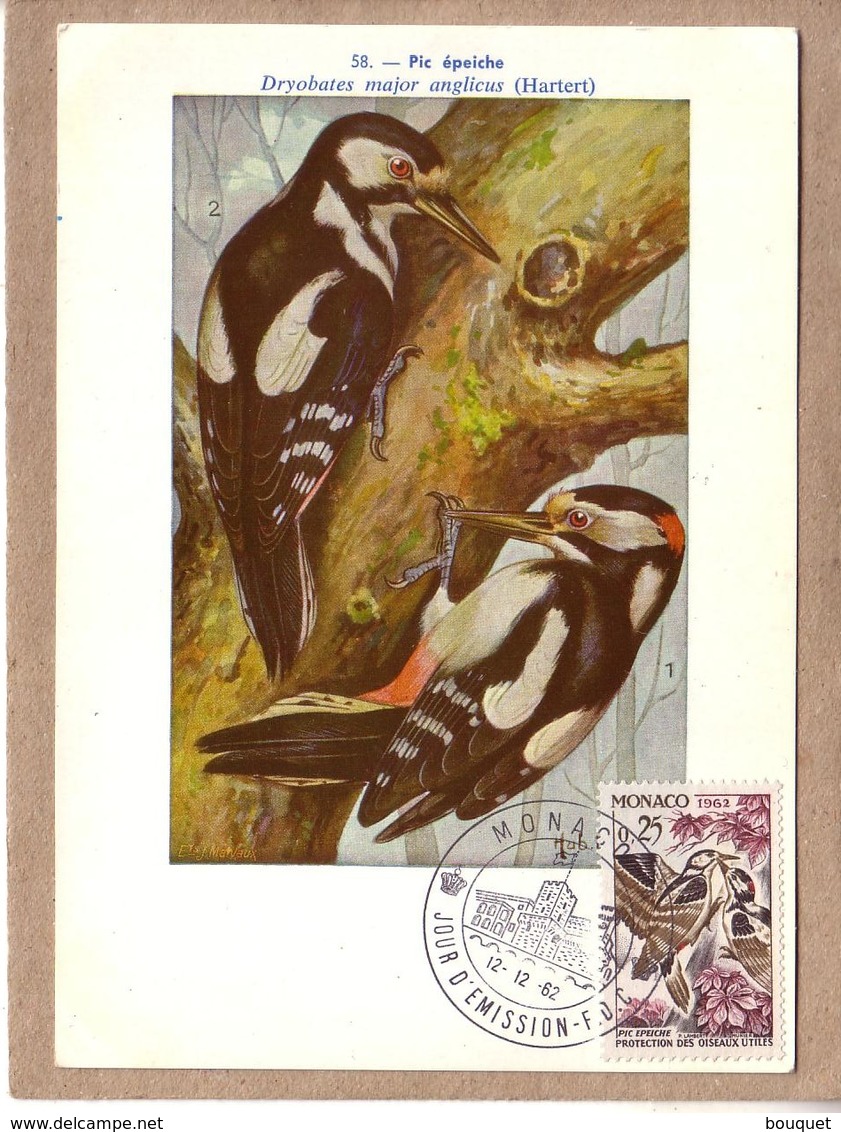 MONACO - CARTE FDC - OISEAUX - INSTITUT ROYAL DES SCIENCES NATURELLES DE  BELGIQUE - 58 - PIC EPEICHE - 1962 - Climbing Birds